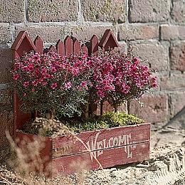 腾讯新作《荒野起源》新视频 中子星测试上线