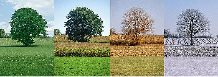 《蓝色协议》PS5＆XS版将于冬季在日本推出